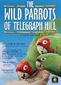 The Wild Parrots of Telegraph Hill