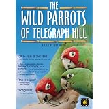 The Wild Parrots of Telegraph Hill
