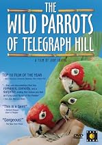 The Wild Parrots of Telegraph Hill
