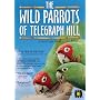The Wild Parrots of Telegraph Hill