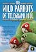 The Wild Parrots of Telegraph Hill