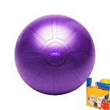 Purple Exercise Ball with Pump 65cm