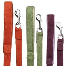 Planet Dog 5' Natural Hemp Leash with Fleece Handle, Apple Green