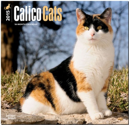 Calico Cats 2015 Square 12x12 (Multilingual Edition)