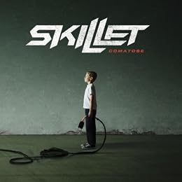 Skillet Picture 2