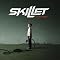 Skillet Picture 2