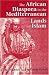 The African Diaspora in the Mediterranean Lands of Islam (Princeton Series on the Middle East)