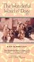 Wonderful World of Dogs [VHS]