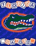 Florida Gators 36x48 Baby Blanket / Throw