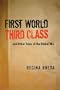 First World Third Class and Other Tales of the Global Mix (Texas Pan American Literature in Translation)