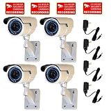 VideoSecu