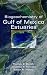 Book Biogeochemistry of Gulf of Mexico Estuaries