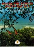 Children & Baby Books : Where the Forest Meets the Sea