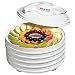 Kitchen & Housewares : Nesco American Harvest FD-35BJW-5 Snackmaster Entree with Jerky Kit