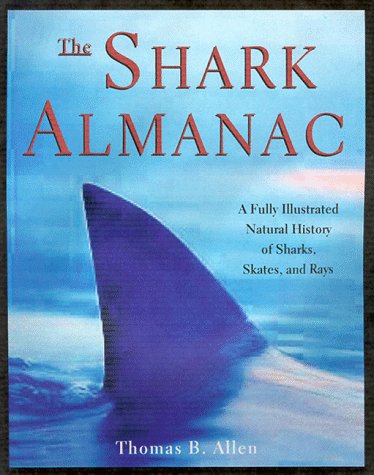 Shark
