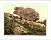 The Buckstone Forest of Dean England, c. 1890s, (XL) Library Image