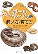 初めてでも大丈夫! ボールパイソンの飼い方・育て方