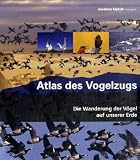 Atlas des Vogelzugs: Die Wanderung der Voegel auf unserer Erde