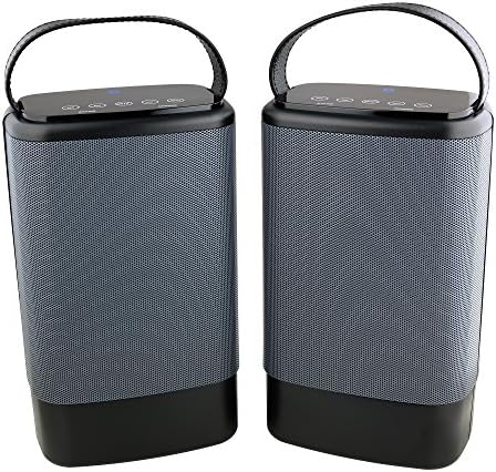 Denali Audio Wireless Bluetooth Large Pairing Speakers with Handle - Gray