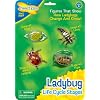 Insect Lore Ladybug Life Cycle Stages