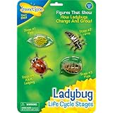 Return to product information