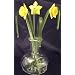 Glass flowers gift in a vase Daffodils
