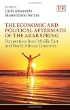 The economic and political aftermath of the Arab Spring : perspectives from Middle East and North African Countries