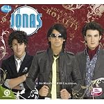 Jonas Brothers 2010 Wall Calendar
