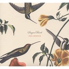 Sugarbird
