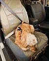 Kurgo Co-pilot Bucket Seat Car Cover