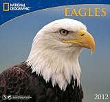2012 Eagles - National Geographic Wall calendar