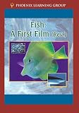 Fish: A First Film