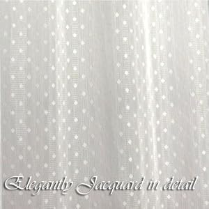 Beautiful Jacquard Sheer Lace Curtain 1 Set