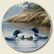 Loons Auto Coaster, Single Coaster for Your Car
