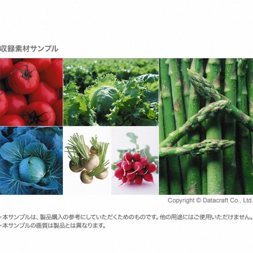 素材辞典 Vol.135 野菜~太陽の恵み編
