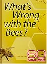 60 Minutes - What's Wrong with the Bees? (October 28, 2007)