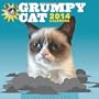 Grumpy Cat 2014 Wall Calendar