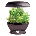 Aerogrow Space Saver 6 with Herbs Collection
