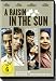 A Raisin in the Sun