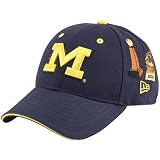 New Era Michigan Wolverines Navy Blue All Over Hat