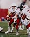Jake Plummer Arizona Cardinals 16x20 Autographed Photograph