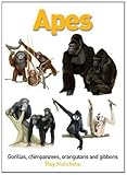 Apes : gorillas, chimpanzees, orangutans and gibbons