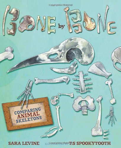 Bone by Bone: Comparing Animal Skeletons