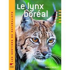 Le lynx bor�al