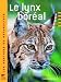 Le lynx bor&eacute;al