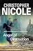 Search : Angel of Destruction (Anna Fehrbach Thrillers)