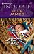 Lakota Baby (Harlequin Intrigue Series)