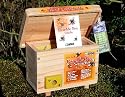 Wildlife World Bumble Bee Nesting Habitat
