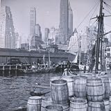 New York City NY - 45 Very Early Films From 1898-1905 on DVD
