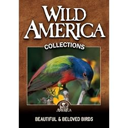 Beautiful and Beloved Birds Collection